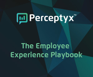 The Employee Experience Playbook The Employee Experience Playbook