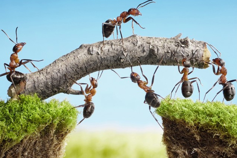 Building better teams
