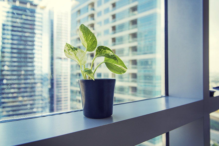 How to create a happier work environment in 5 steps