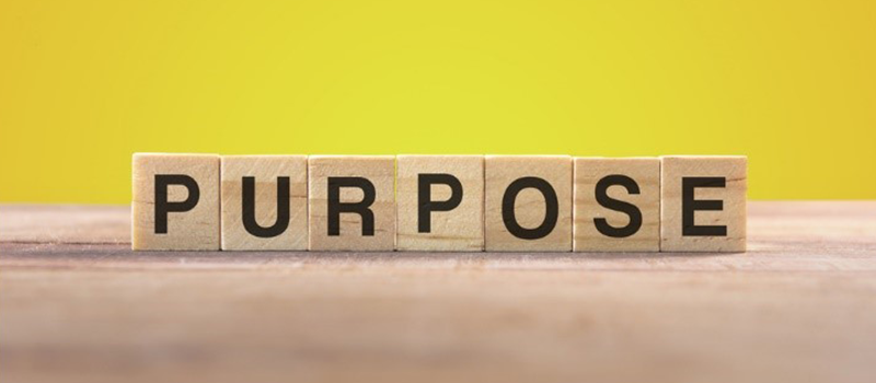 What's the point? The search for purpose at work