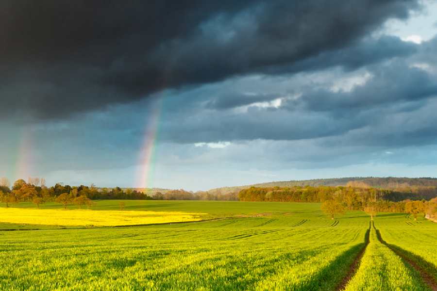 Organisational change: All change is not equal