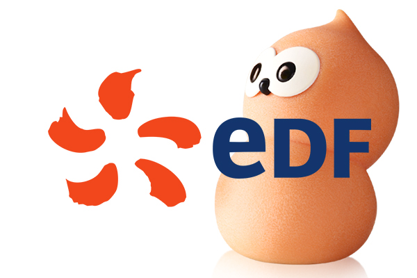 EDF appoint HR Director