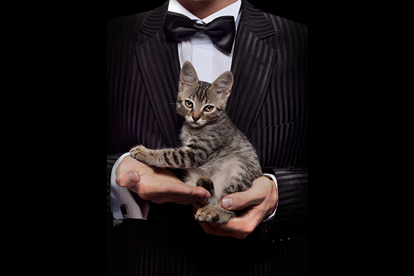 Fat Cat Tuesday: CEOs' high salaries defended 