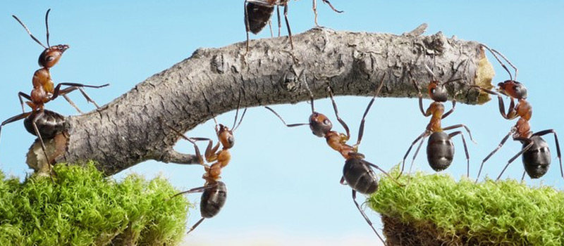 Building better teams