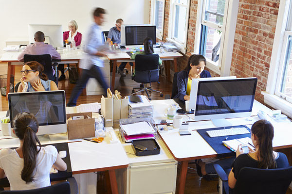 Thousands die shortly after being declared 'fit for work'