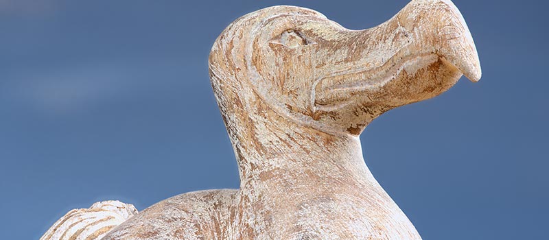 HR on the weekend: Trainspotting, Oxford Dodo Exhibition & Super Bowl LI