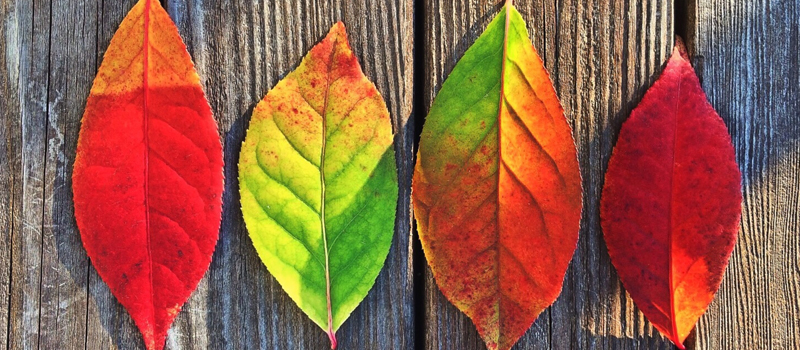 Five takeaways for you to transform your training - now