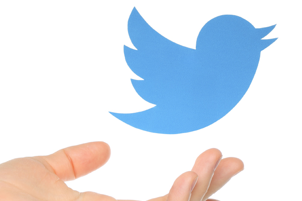 Twitter loses 12% of workforce as CEO search remains fruitless