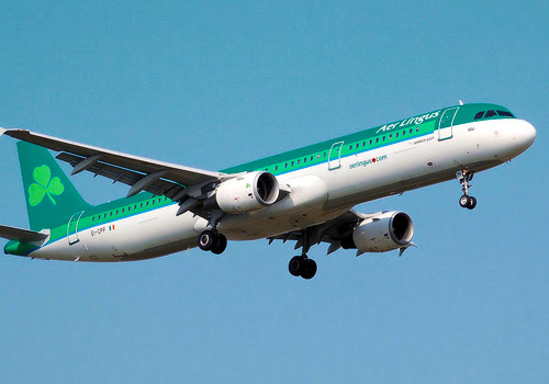Aer Lingus promotes company veteran as CEO