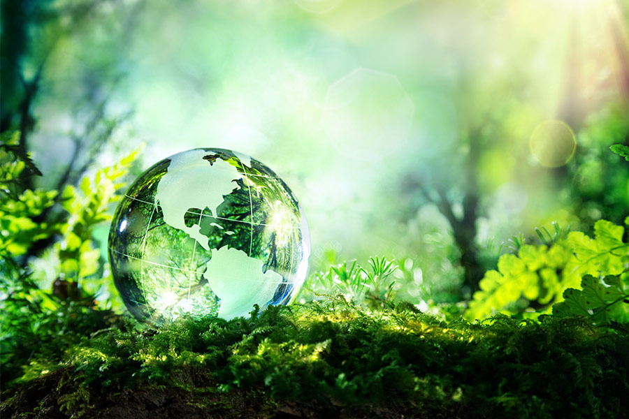 Top five eco-friendly companies in the world revealed | | HR Grapevine ...