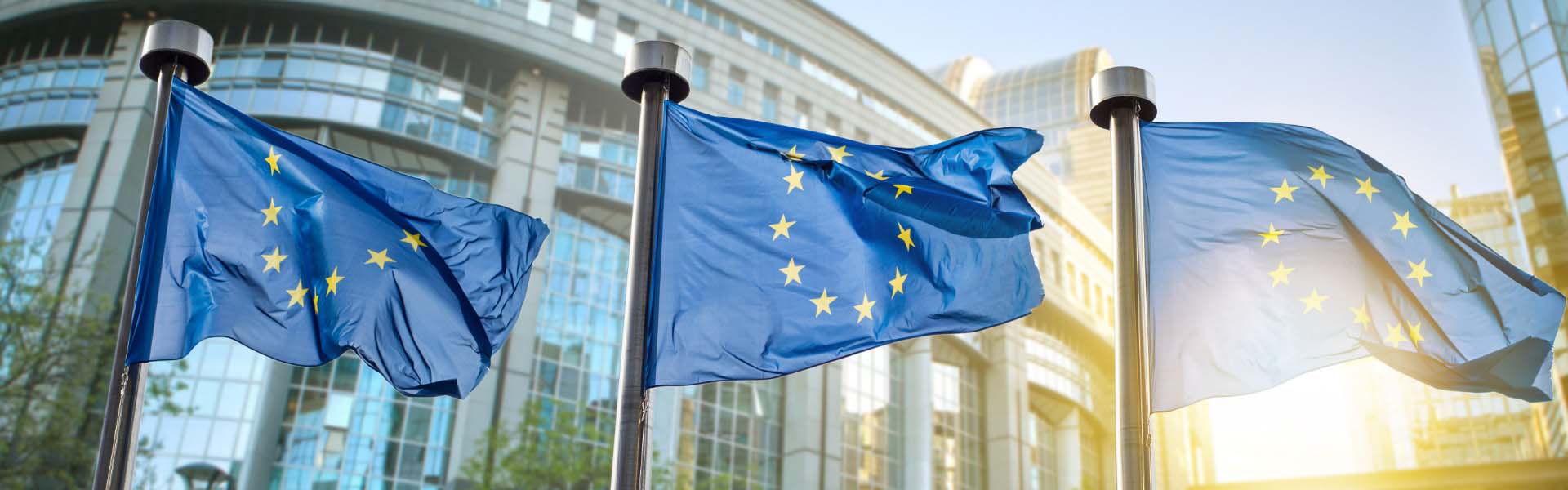 European Union flags outside parliament