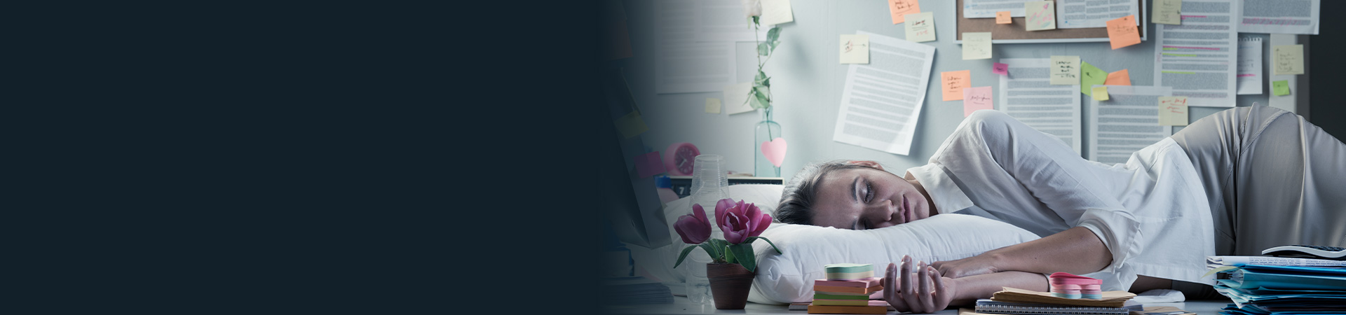 New report claims napping is 'secret to productivity' 