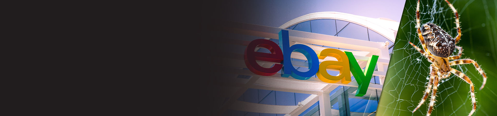 What happens when 'good' executives go bad?