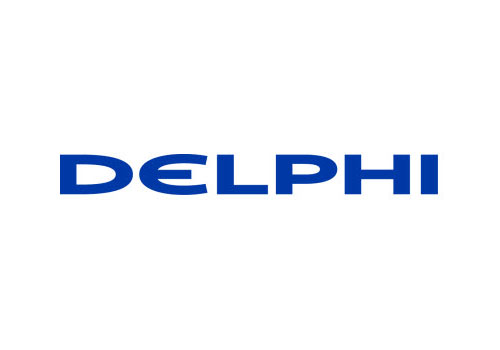 Vice President Human Resources - Global Powertrain & HR EMEA hired at Delphi
