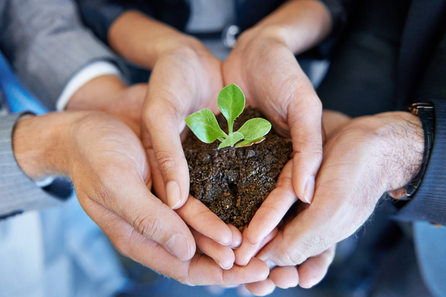 How talent nurturing can help your business's recruiting success
