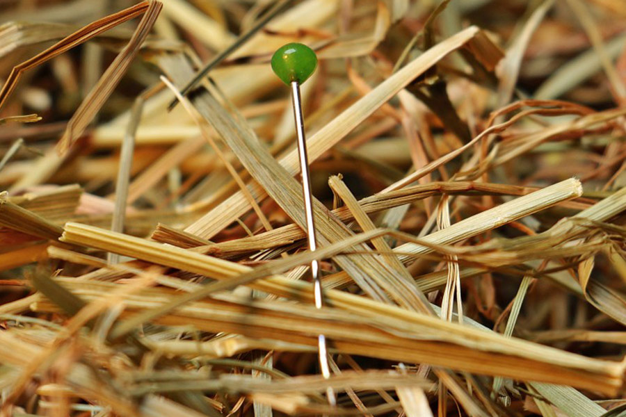 A key weapon in your long-term hiring strategy