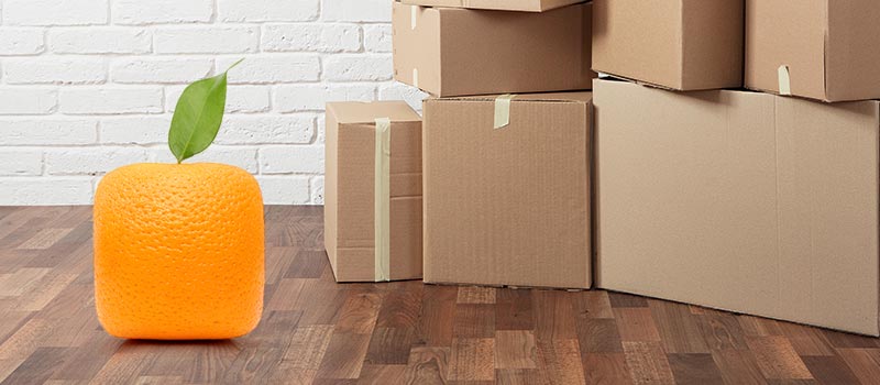 Warehouse replaces human workers with 'little orange' robots