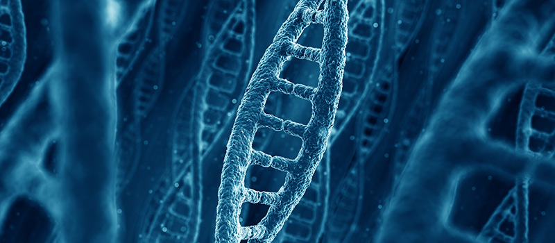 HR Dilemma: Should employers be allowed to take staff DNA?
