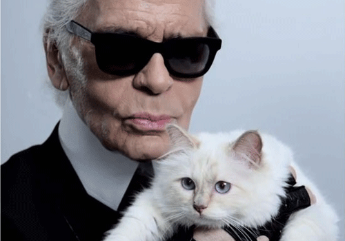 Karl Lagerfeld's cat earns more than model Cara Delevingne 