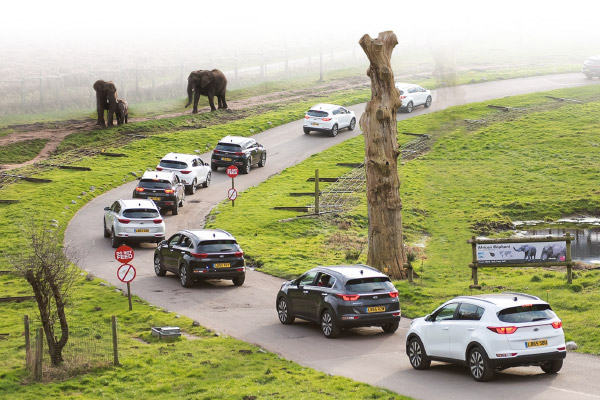 Kia Motors trains staff at a safari park