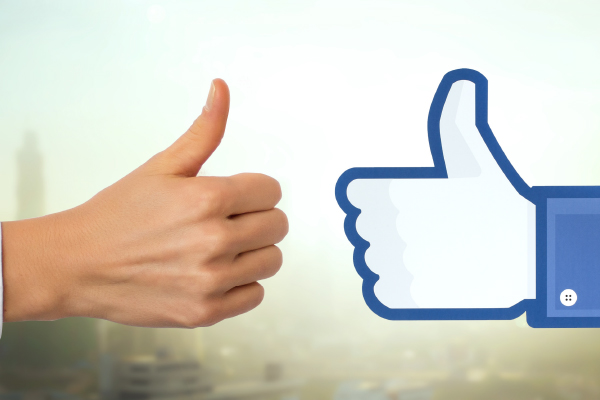 The Secret HR Director: Facebook could devour HR if it wanted - we must embrace it