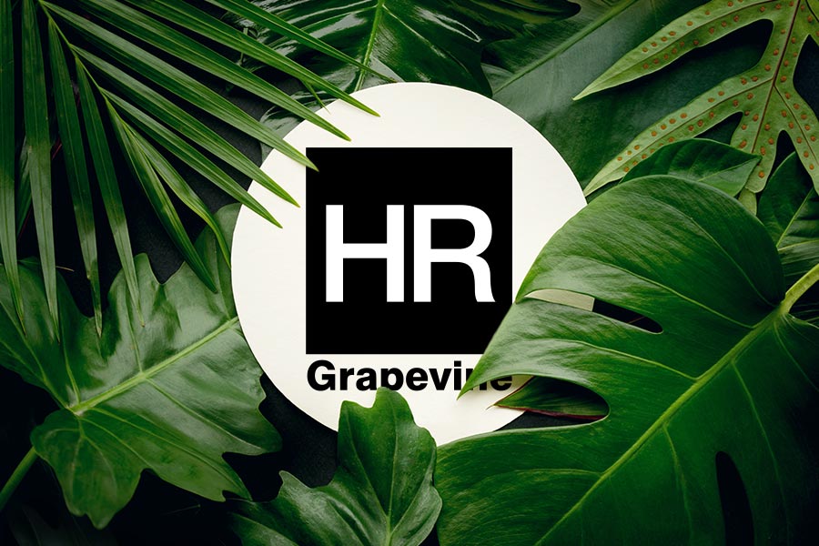 What can HR learn from I'm A Celebrity Get Me Out of Here?
