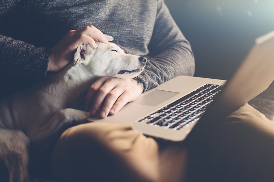 How should employers support remote staff?