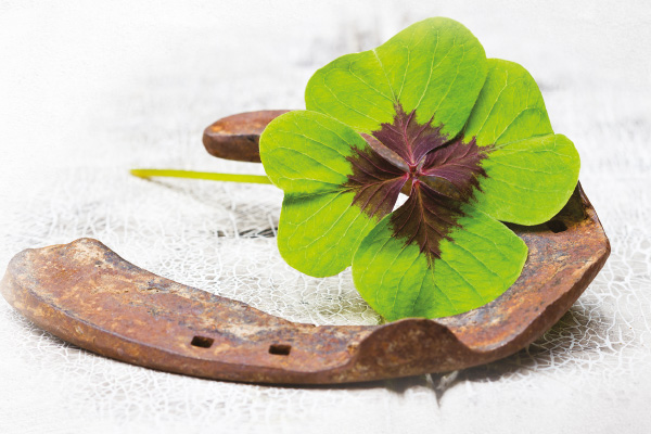 How much of recruitment is down to luck?