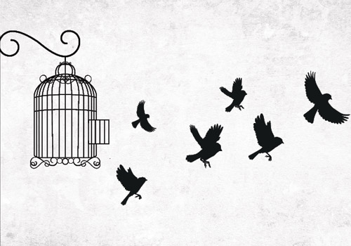 Free to succeed