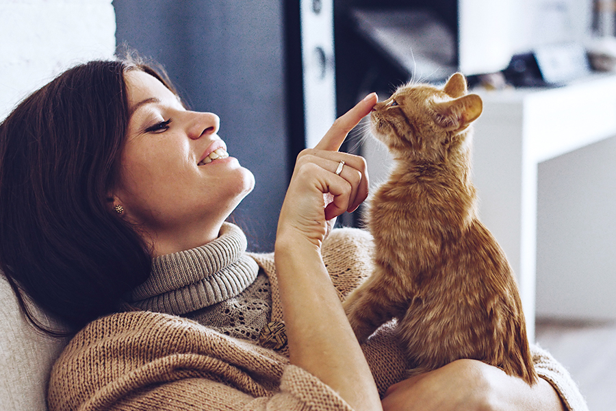 Paid time off for employees to settle in a new cat? What?! Paid time off for employees to settle in a new cat? What?!