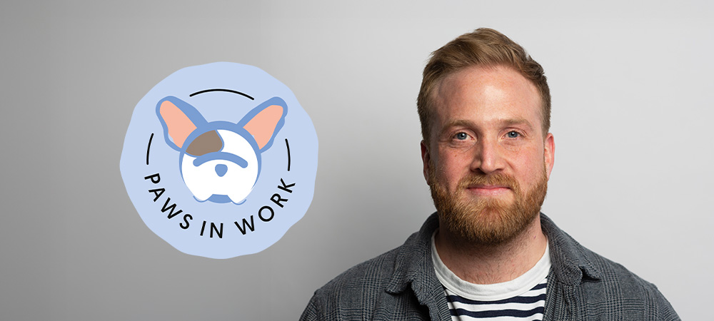 Ashley Fry, Founder of Paws in Work