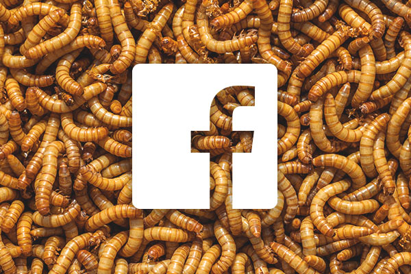 Facebook exec discusses disgusting sacrifices made when starting up