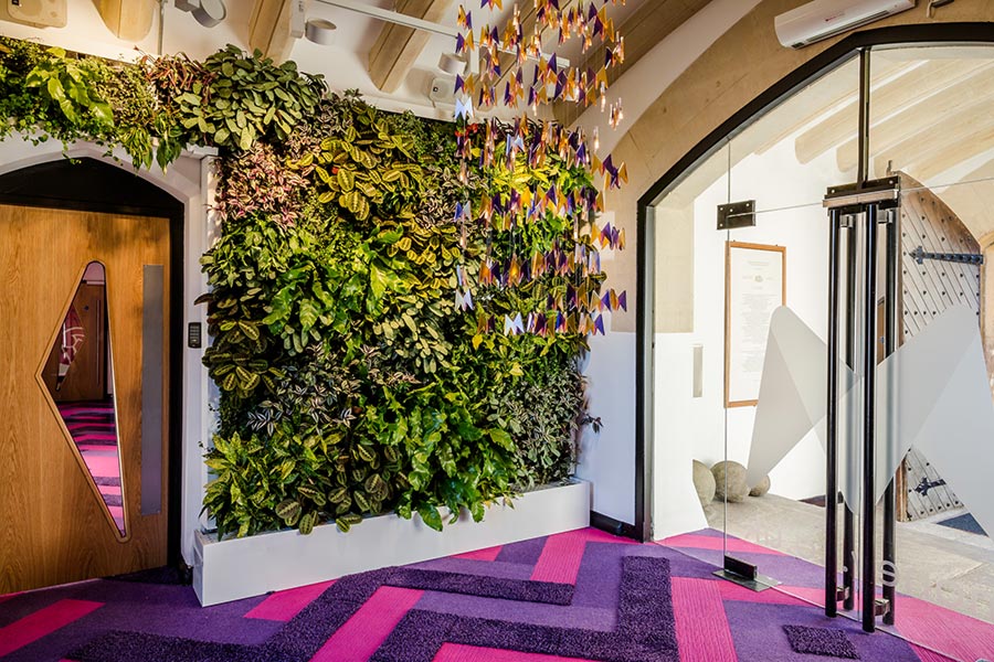 money.co.uk create dream workspace