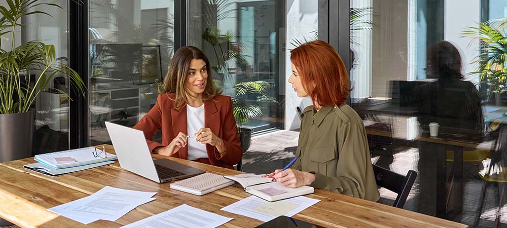 Consultant meeting with a business leader in an office