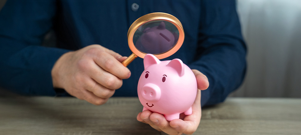 Inspecting piggy bank savings closely