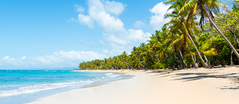 The bottomless vacation allowance - does it work? 