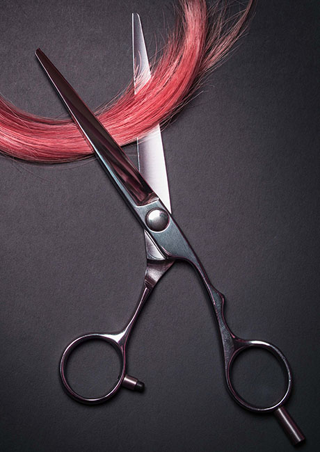 Cutting through uncertainty with Wella Company