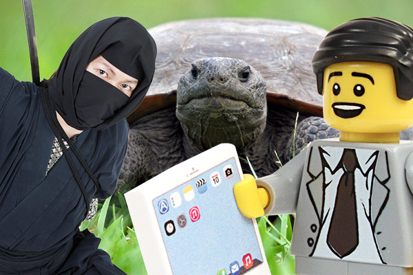 Are these the most bizarre job adverts ever?