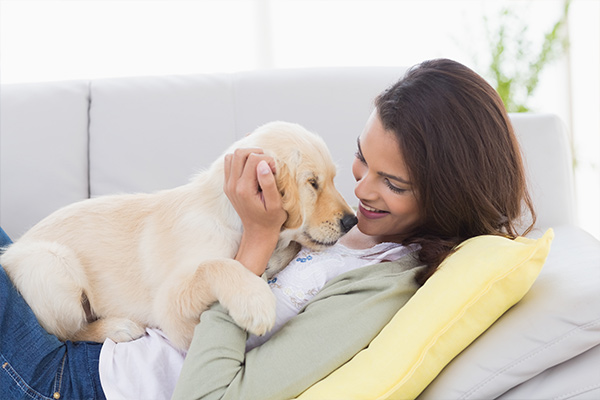 ANZ implements 'paw-ternity leave' for new pet parents 