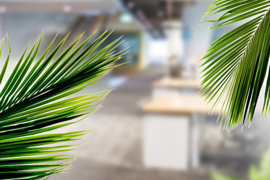 Premier Travel Group's office redesign gives employees permanent holiday