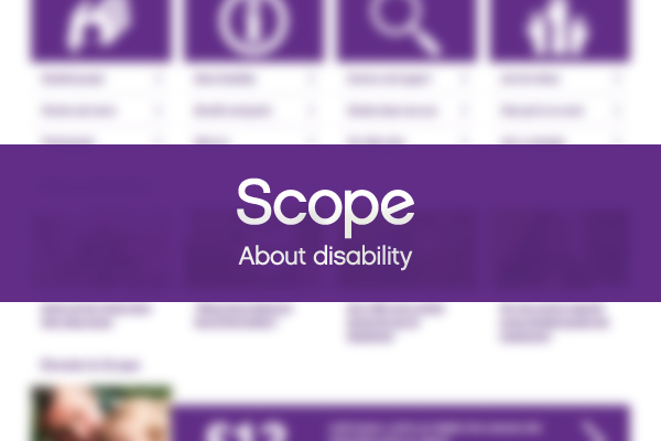 Scope hire HR Director