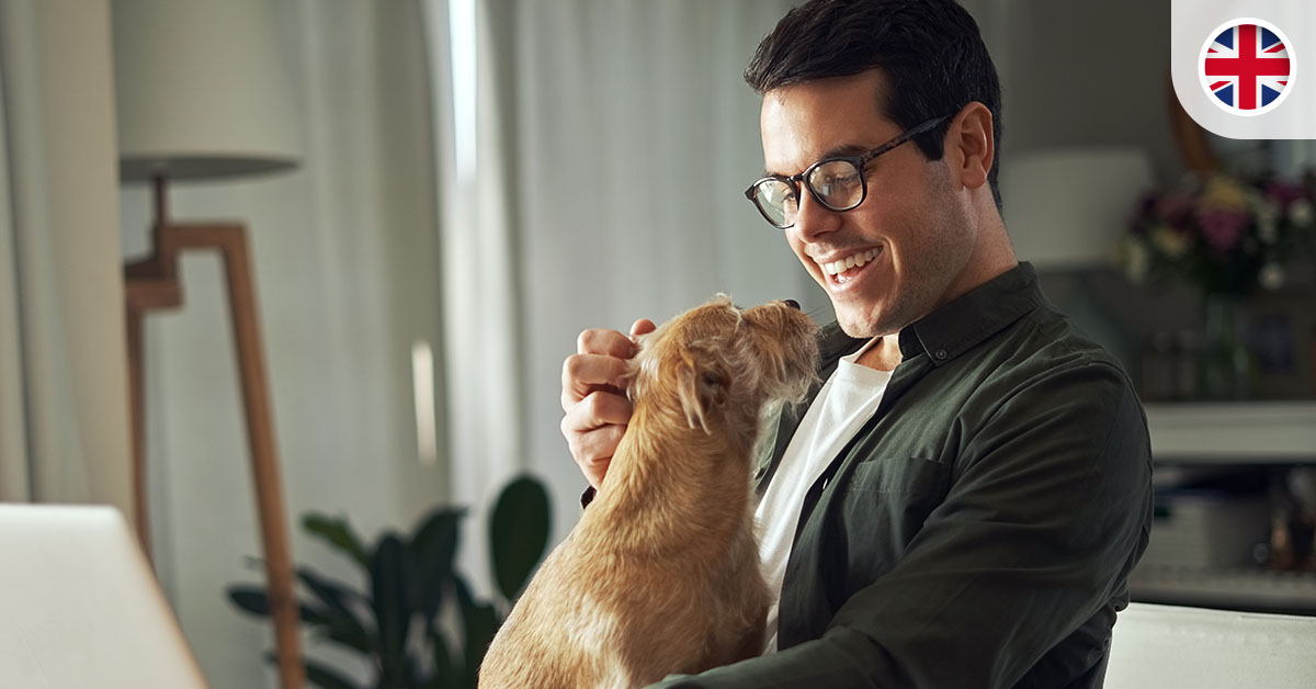 1 in 6 UK employees adjust their work schedules for their dogs | HR ...