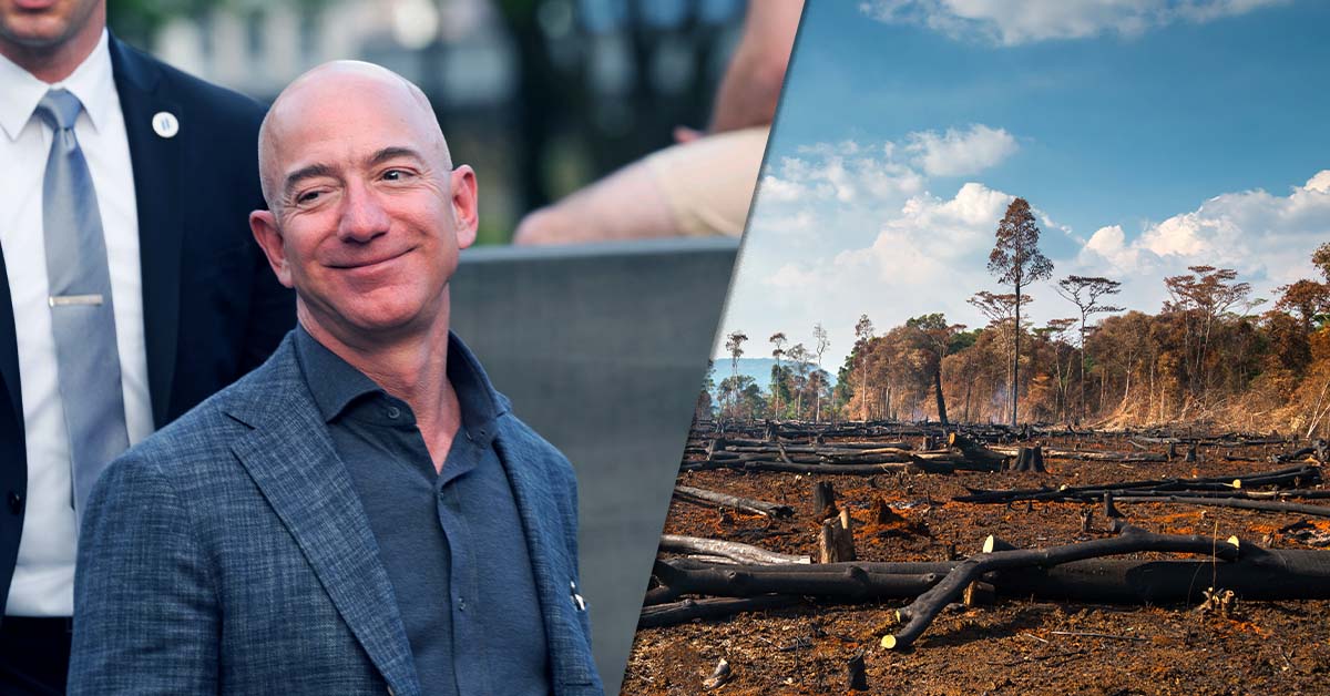 Amazon Social Risk Why Amazon and Meta are under attack from activist investors | HR ...