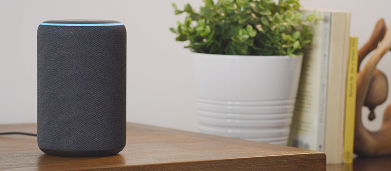 Can Alexa help candidates prepare for a job interview?