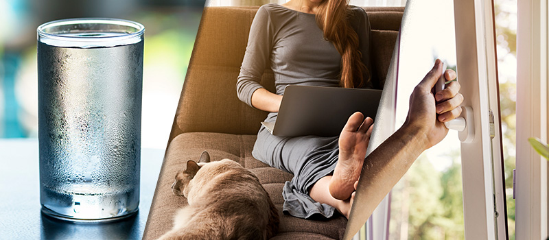 Environmentally-friendly office alternatives to air conditioning