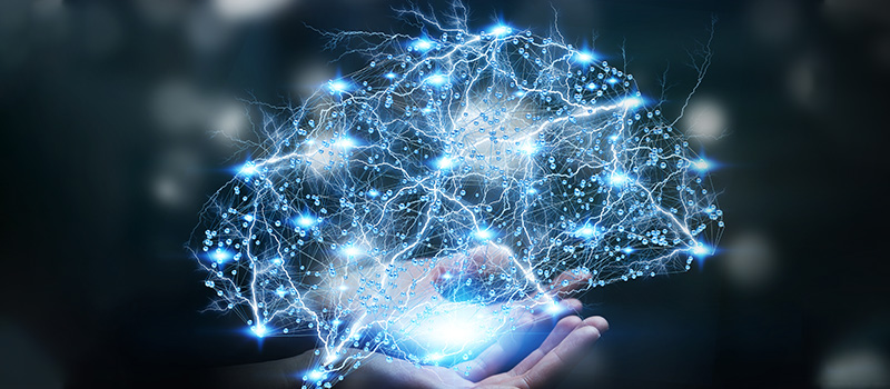Business leaders are planning on living forever 