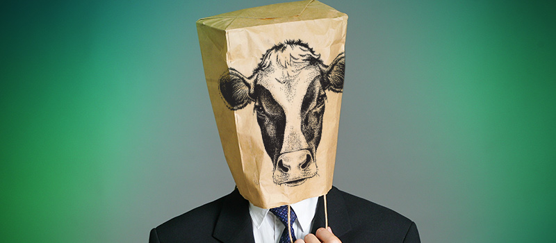 Schuh told candidates to 'moo' & put bags over heads in interview