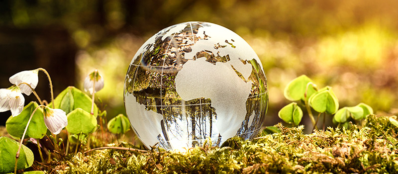 Highest-paying jobs for the eco-conscious 