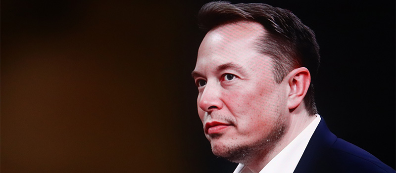 Elon Musk's DOGE