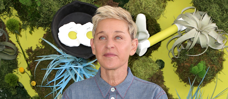 Lawyer responds to 'toxic' Ellen DeGeneres scandal